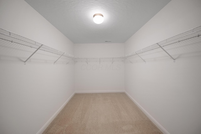 walk in closet featuring light carpet