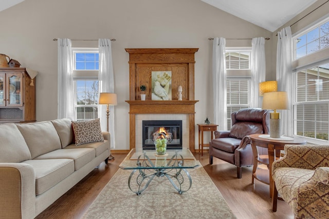 sitting room featuring a healthy amount of sunlight, high vaulted ceiling, and wood finished floors