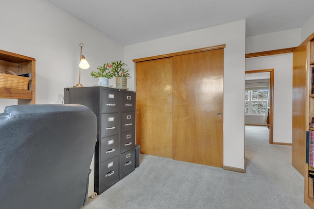 office area featuring carpet flooring and baseboards