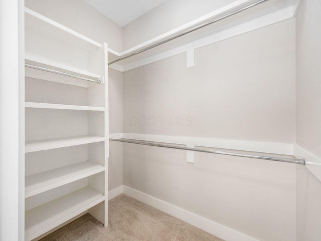 spacious closet with light colored carpet