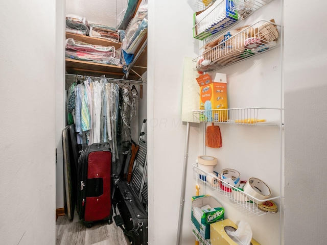 walk in closet featuring wood finished floors