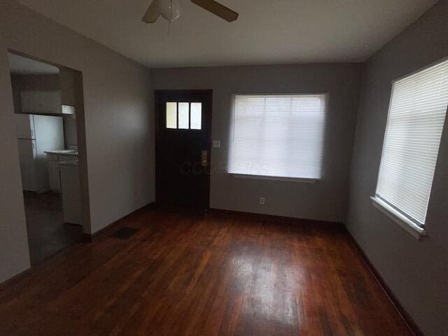 entrance foyer with a healthy amount of sunlight, ceiling fan, and wood finished floors