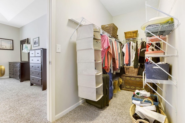 spacious closet featuring carpet