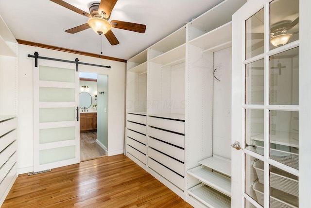 spacious closet featuring visible vents, a ceiling fan, a barn door, and wood finished floors