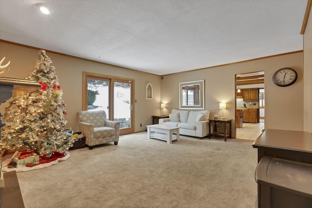 living room featuring ornamental molding, light colored carpet, and a textured ceiling