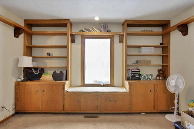 interior space featuring light carpet, visible vents, and a textured ceiling