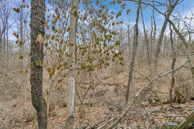 view of nature