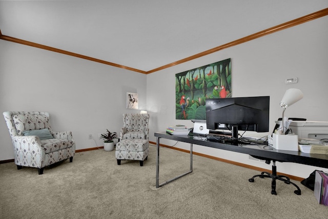 carpeted office featuring baseboards and ornamental molding