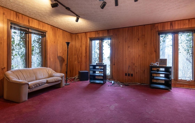 living area with carpet, a healthy amount of sunlight, and a textured ceiling