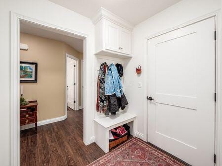 mudroom with baseboards and dark wood-style floors