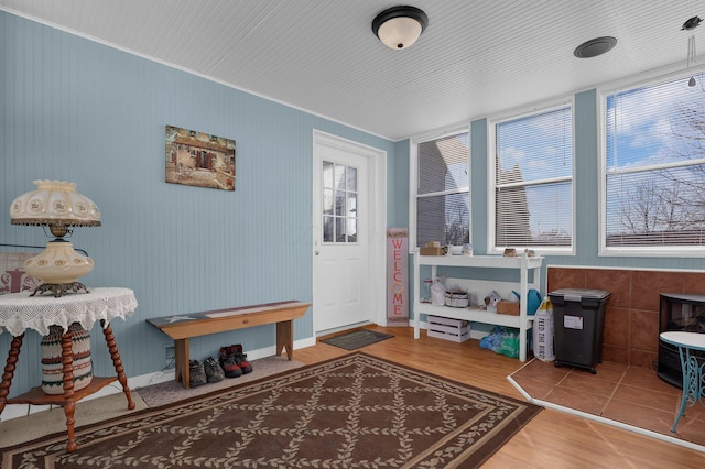 entryway featuring wood finished floors and a wealth of natural light