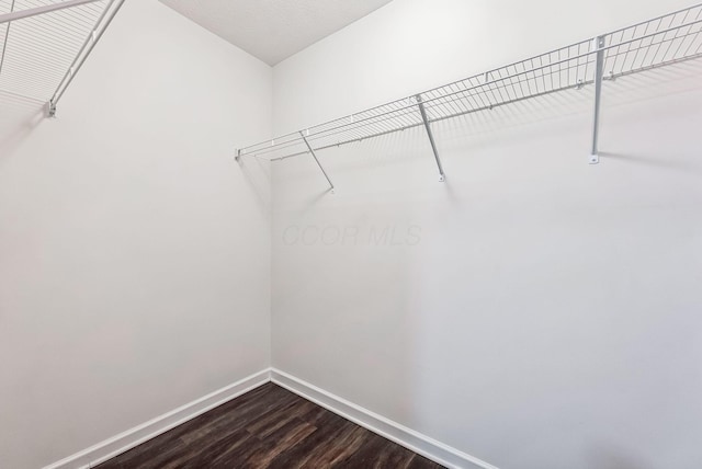 spacious closet featuring dark wood-type flooring