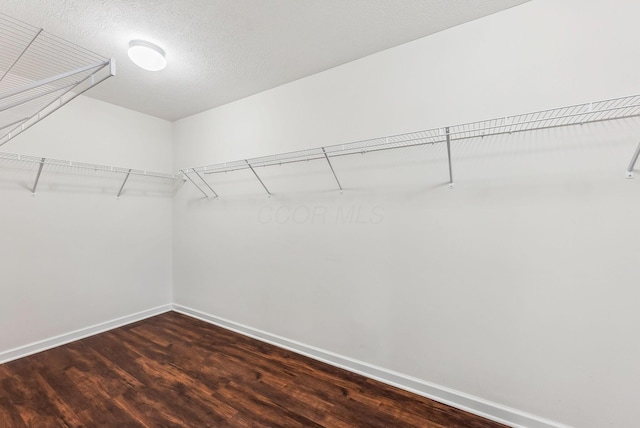 spacious closet with wood finished floors