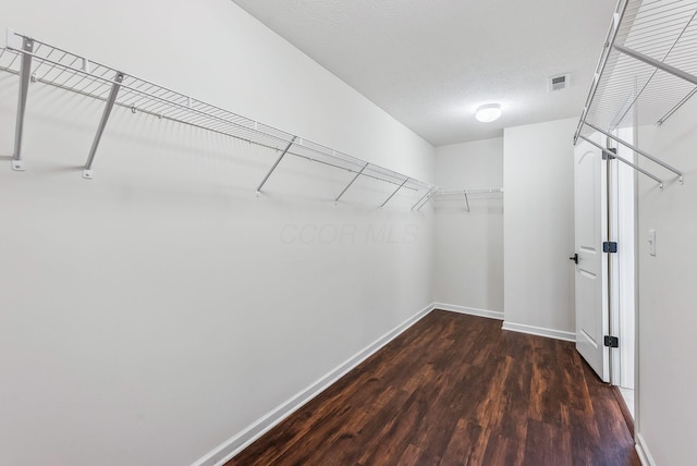 walk in closet with dark wood-style floors and visible vents