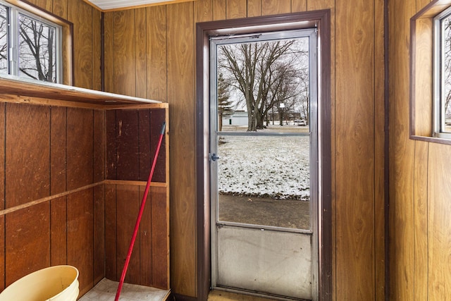 entryway with wood walls and a wealth of natural light