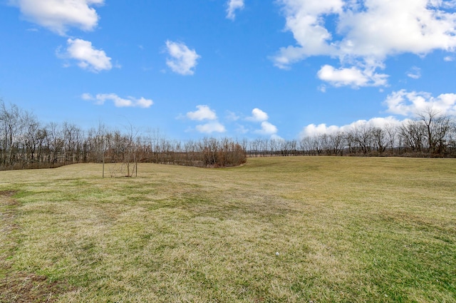 view of yard with a rural view