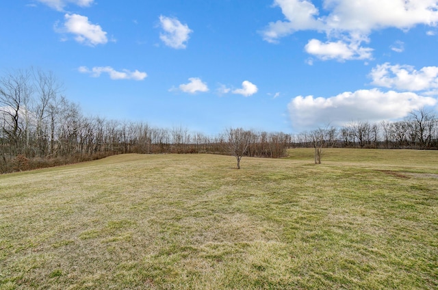 view of yard with a rural view