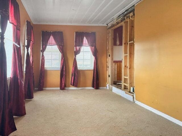 spare room featuring carpet, crown molding, and baseboards