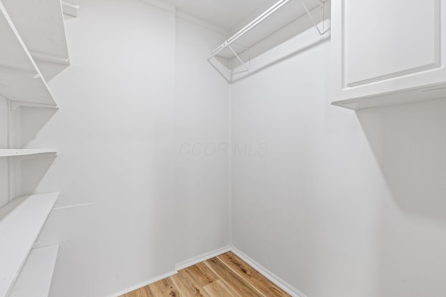 walk in closet with light wood-style floors