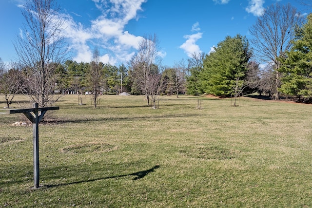 view of yard