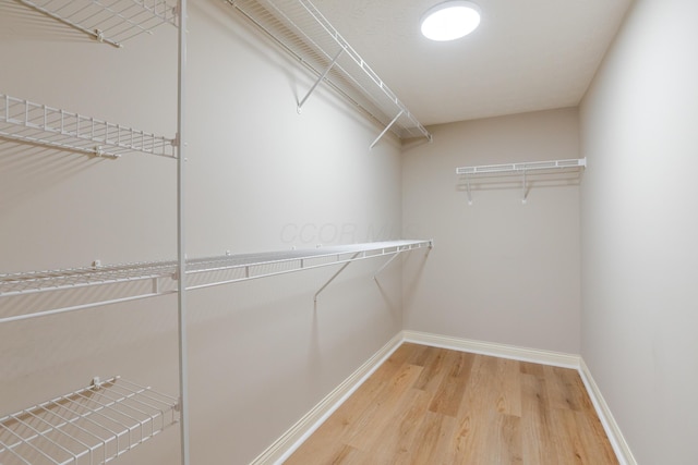 walk in closet with light wood-type flooring