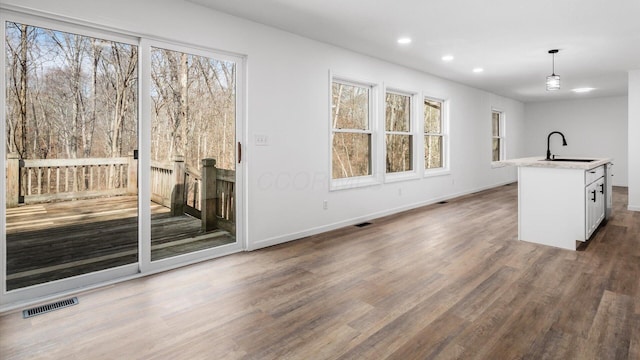 interior space featuring plenty of natural light, visible vents, a sink, and wood finished floors