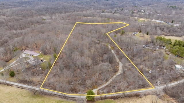 drone / aerial view featuring a view of trees