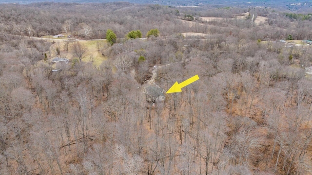 drone / aerial view with a wooded view