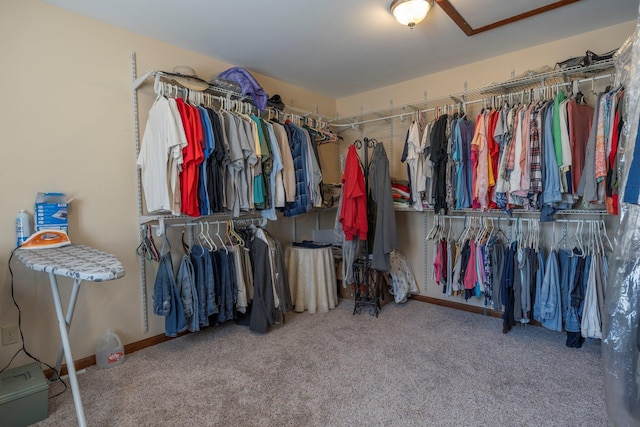 spacious closet with carpet