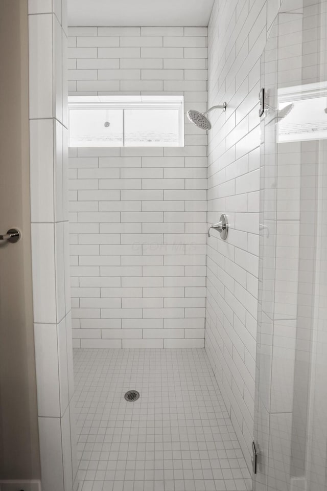 full bathroom featuring a shower stall