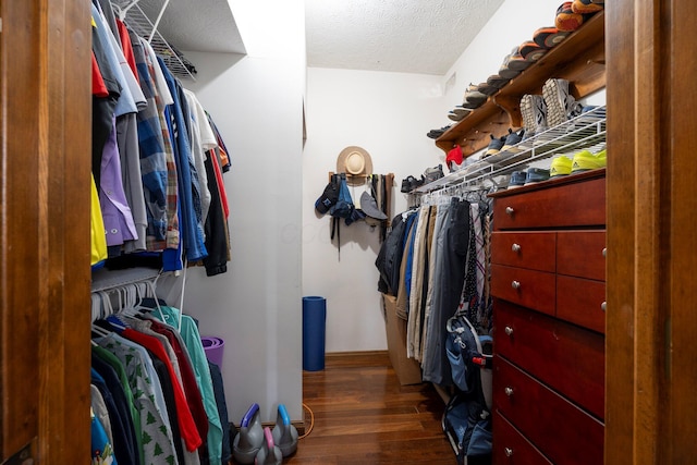 spacious closet with wood finished floors