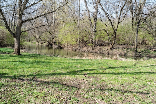 view of yard with a water view and a forest view