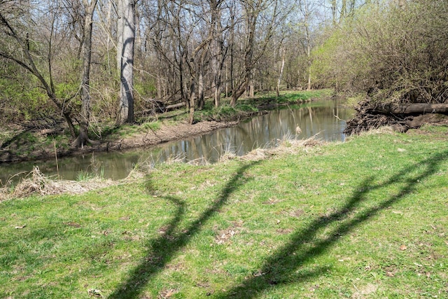 water view with a view of trees
