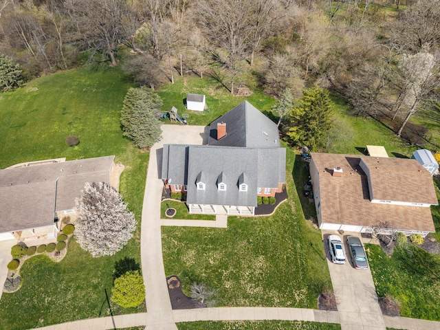 bird's eye view