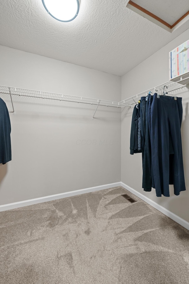 spacious closet with carpet and visible vents