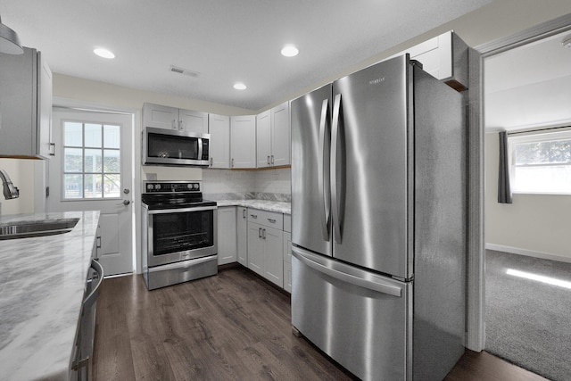 kitchen featuring dark wood-style floors, plenty of natural light, stainless steel appliances, and a sink