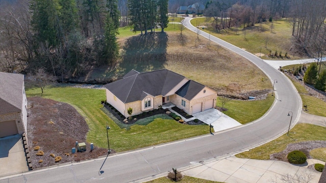 bird's eye view