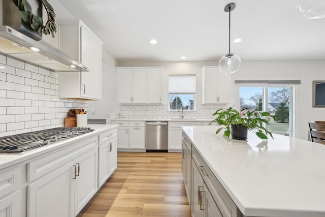 kitchen with light wood finished floors, light countertops, appliances with stainless steel finishes, a sink, and ventilation hood