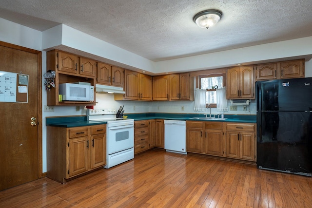 kitchen with hardwood / wood-style flooring, under cabinet range hood, white appliances, a sink, and brown cabinetry