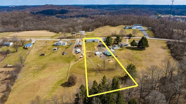 aerial view with a forest view