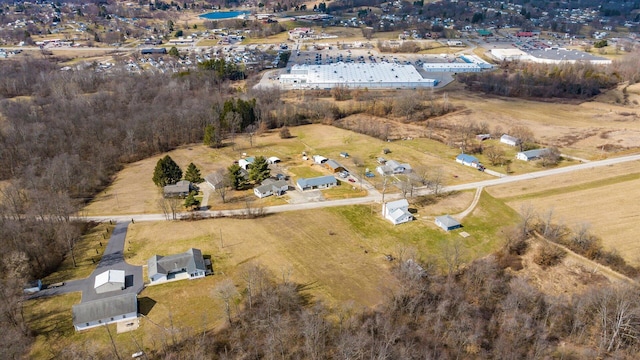 drone / aerial view