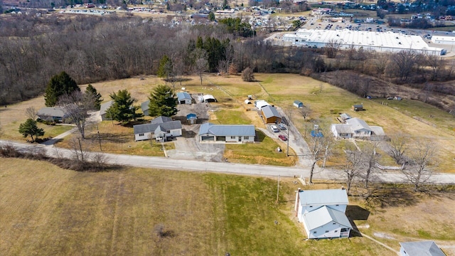 drone / aerial view