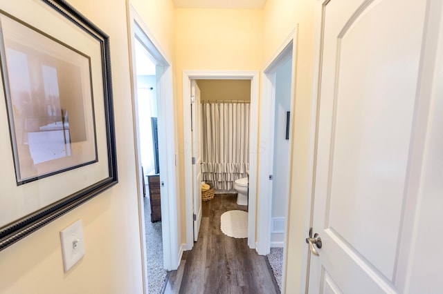 hall featuring dark wood-type flooring