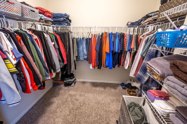 spacious closet with carpet