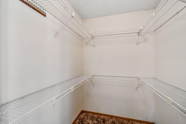 view of spacious closet