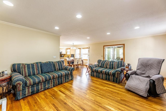 living area with ornamental molding, a textured ceiling, and light wood-type flooring
