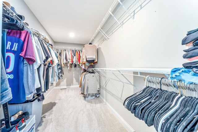 spacious closet with carpet