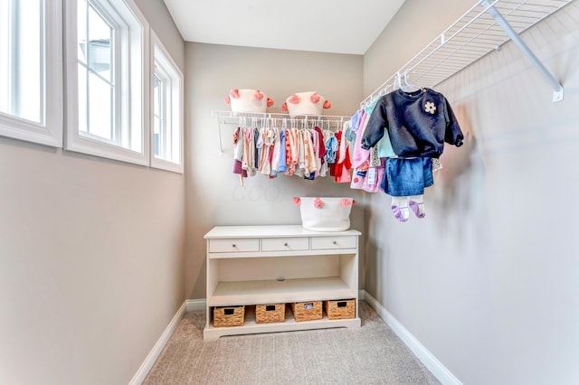 spacious closet featuring carpet flooring