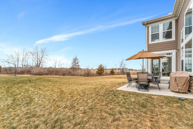 view of yard featuring a patio area