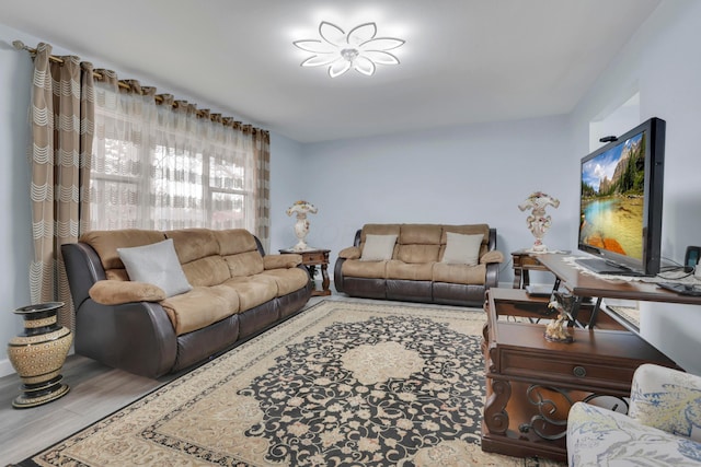 living room featuring wood finished floors